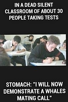 0900e99b2917b21ce5a317395492d311