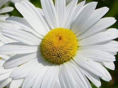 My sugar addiction was as bad as a drug&nbsp;addiction!