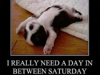 A little something to start your week off with a&nbsp;giggle