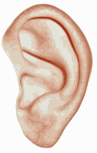 ear