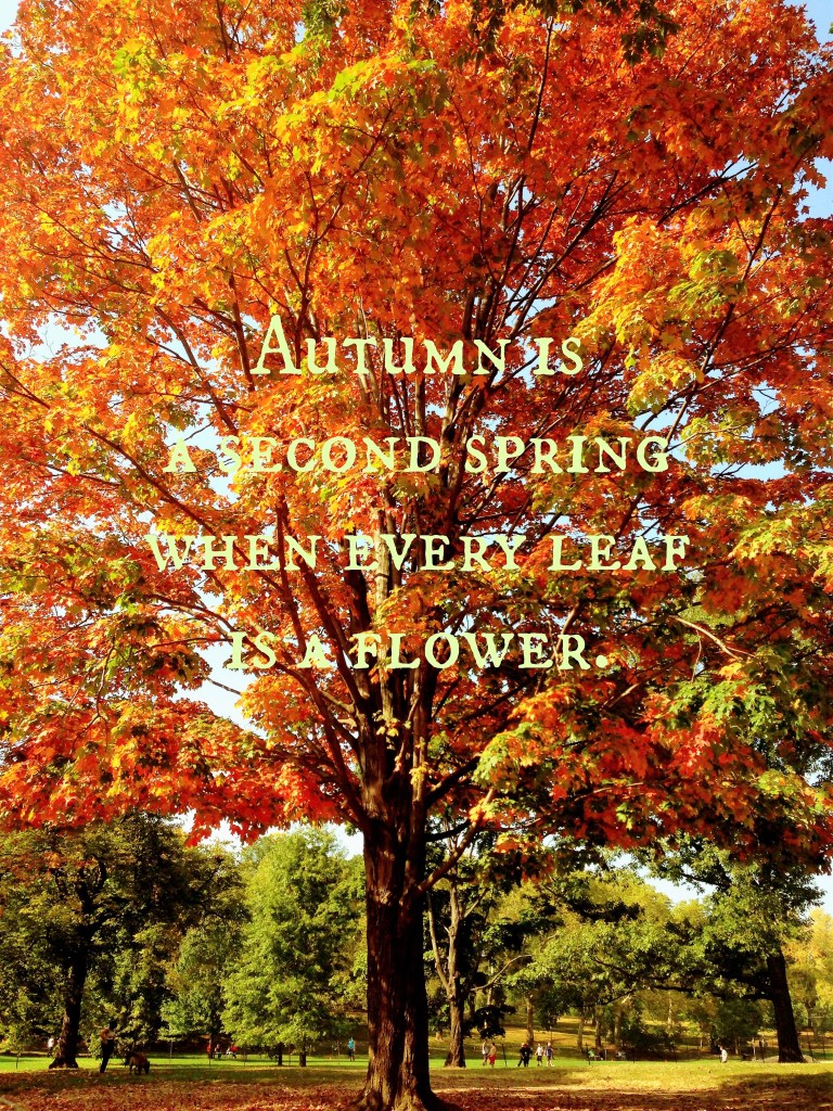 Autumn is a second Spring