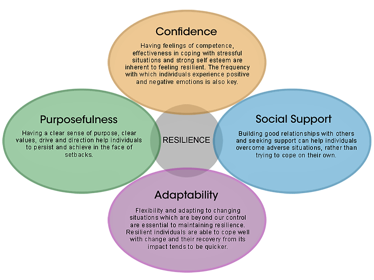 4 areas of resilience
