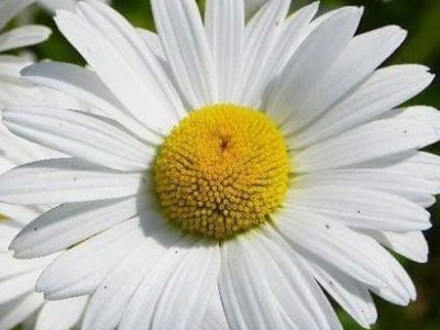 Friday favourites – my 3rd lot of blogposts I loved to&nbsp;post